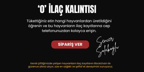 Kategori geçiş görseli